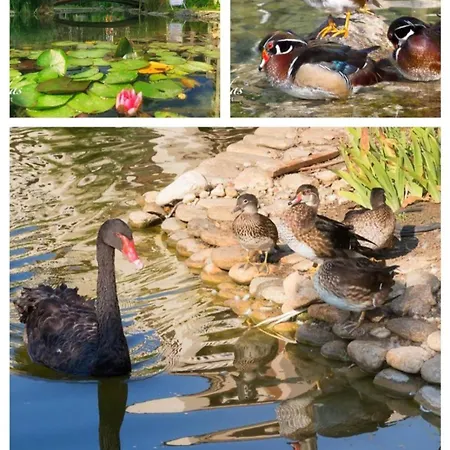 Cascadas Family Pool View סאני ביץ'